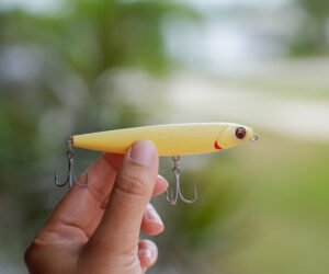 Artificial lures