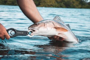 Beginner fishing rigs