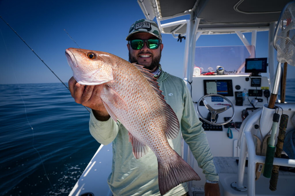 Mangrove snapper