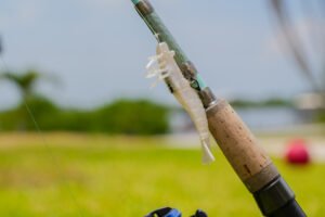Okuma fishing rod and reel 