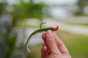 Beginner fishing rigs