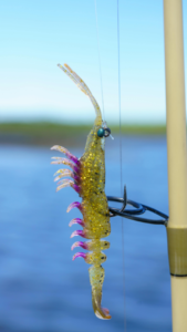 Artificial shrimp lure 
